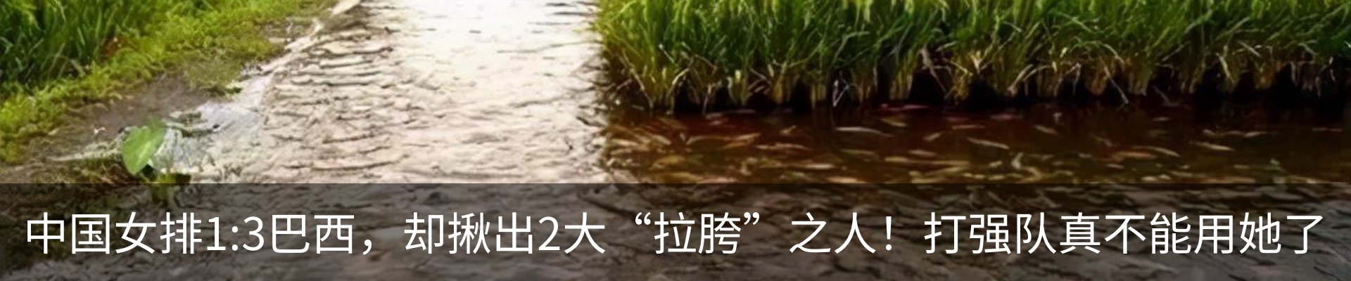 行业资讯