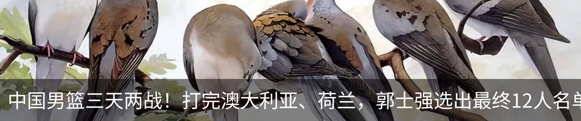 行业资讯