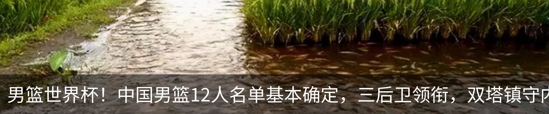 行业资讯