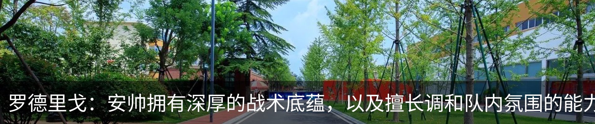 行业资讯